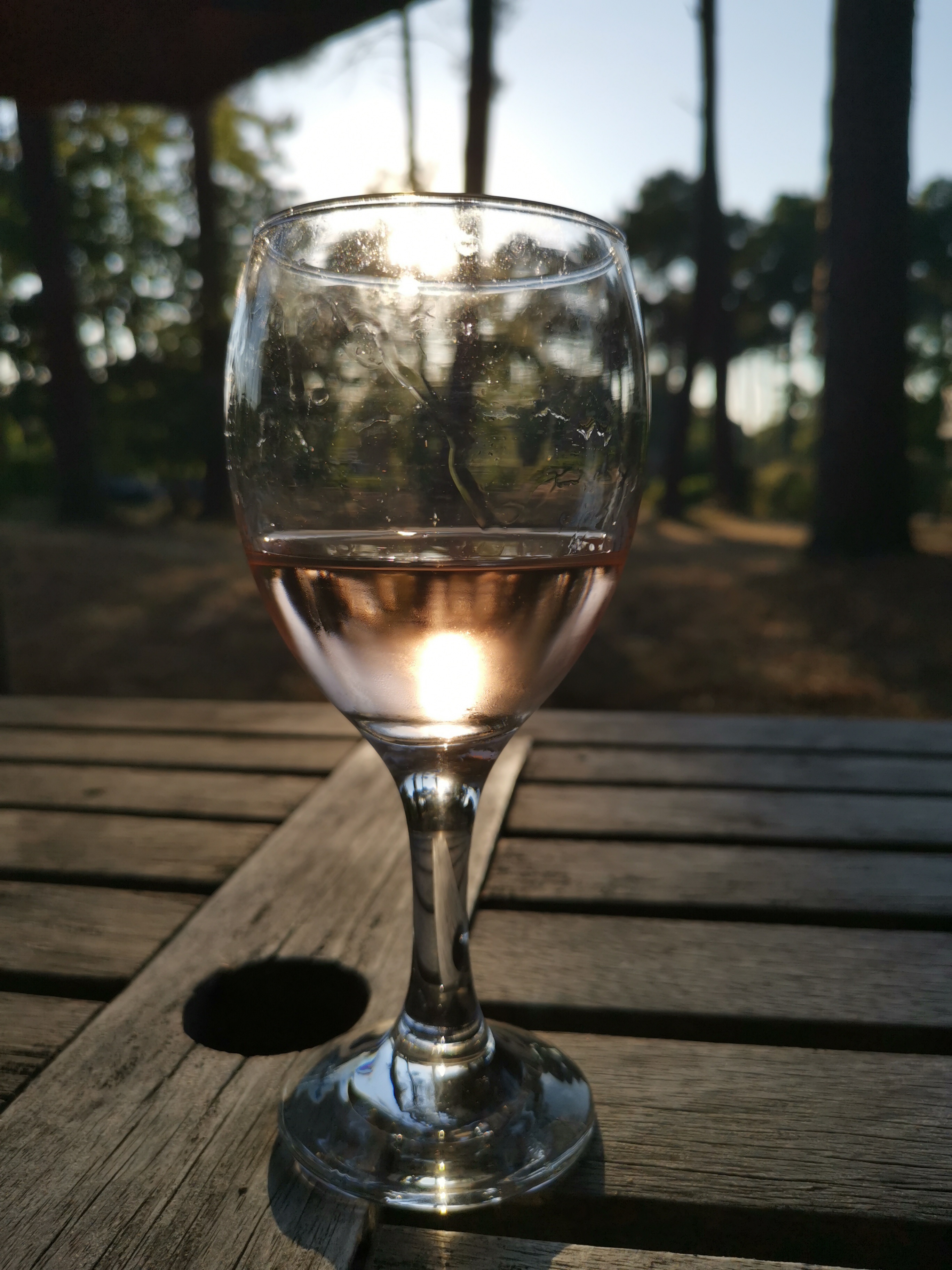 Domaine des Loges Pinot Noir Rosé